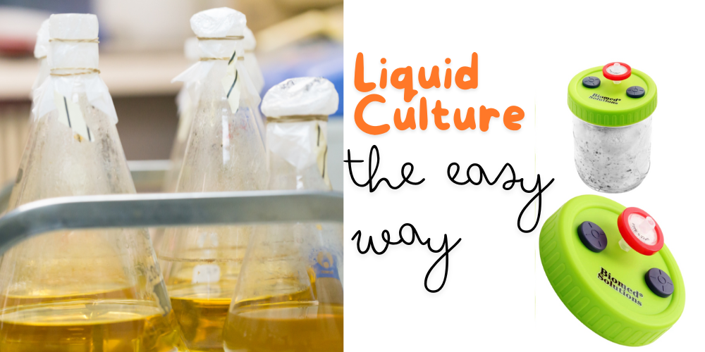 Growing Mushrooms with Liquid Culture