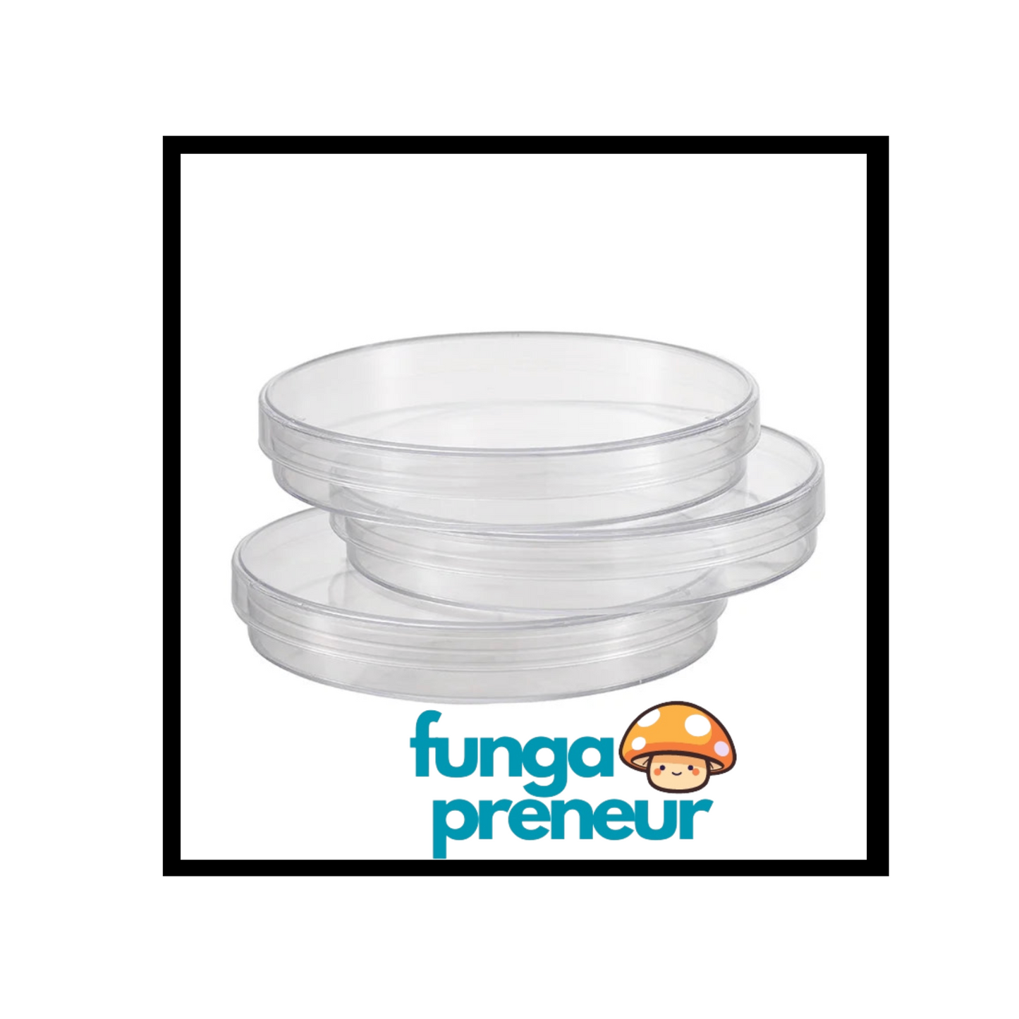 10Pcs/Bag 100mm Sterile Petri Dishes with Lids